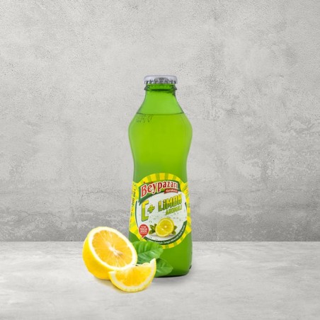 Beypazarı C Vitaminli Limon Aromalı Maden Suyu 200 Ml - Gurmelon
